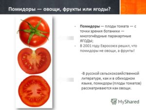 Чи є помідор овочем чи фруктом? Відповідь на давнє питання