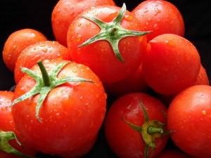 Користь обробки помідорів мідним купоросом